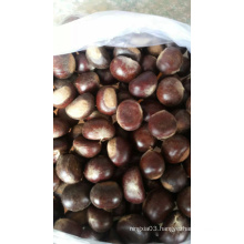 Chinese Fresh Chestnut and Chestnut Powder